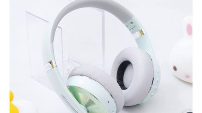 Earphone (1)
